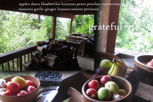 qqfruit nature logs grateful