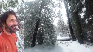 qqhom doorway opening